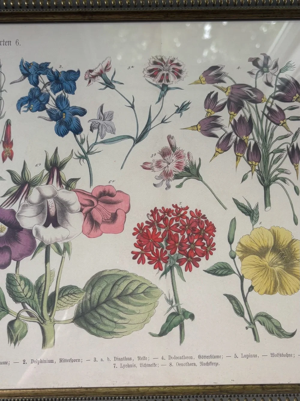 Floral Botanical Print Wall Art in Multi-Color